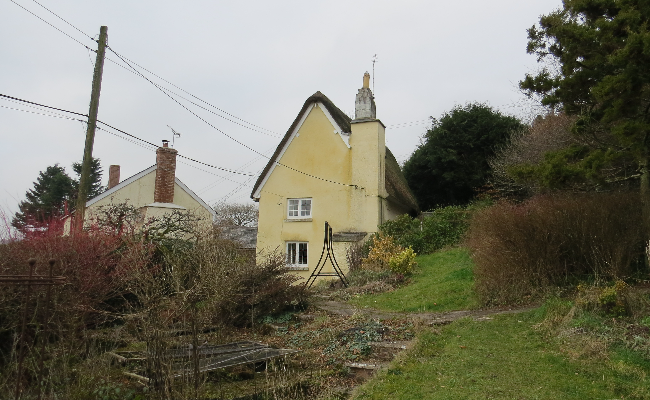 Small Thatched property with large garden